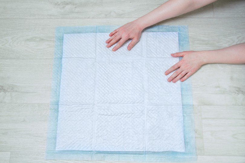 pee pad