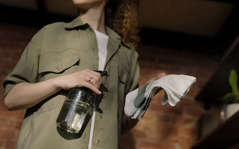 person holding spray cleaner and cloth rag