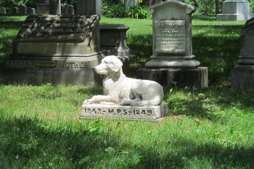 pet cemetery