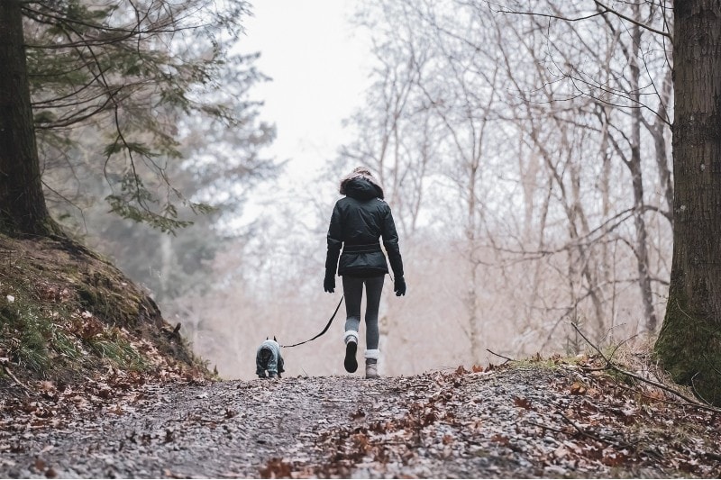 pet owner hiking with a dog