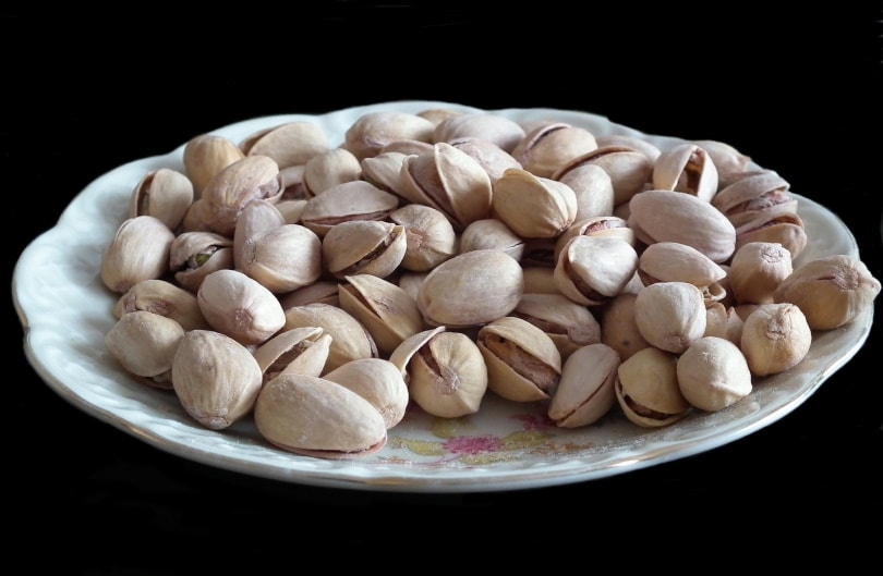 pistachio on plate