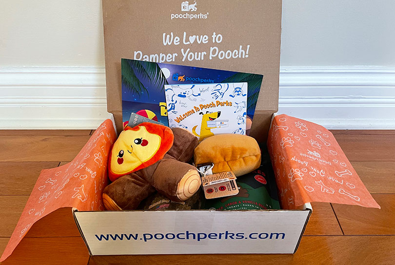 pooch perks subscription toys in a box