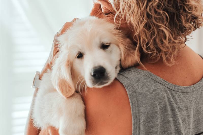 portrait depressed senior woman hugging dog puppy golden retriever
