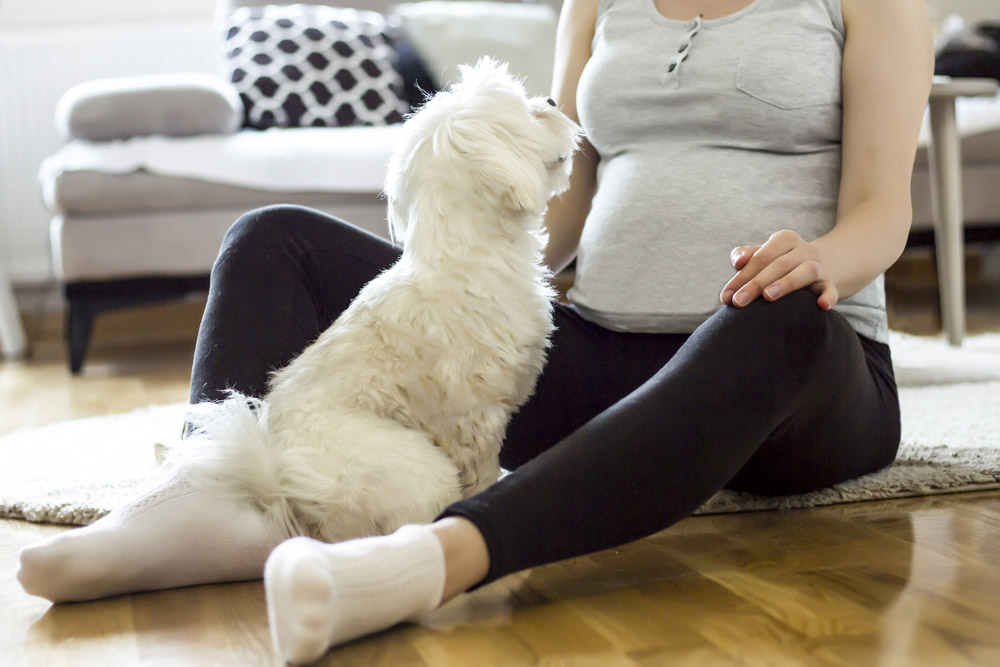 pregnant woman sitting on the floor with her dog
