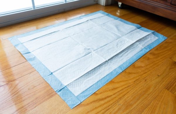 puppy pad