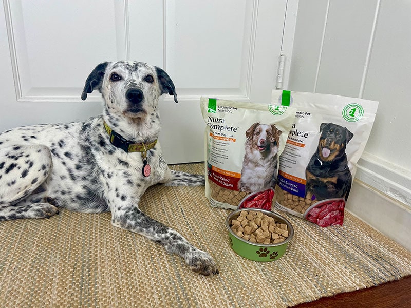 ragz with nutra complete dog foods