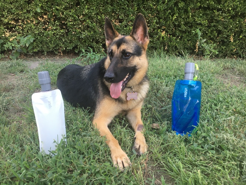 raven and vapur ez lick water bottles