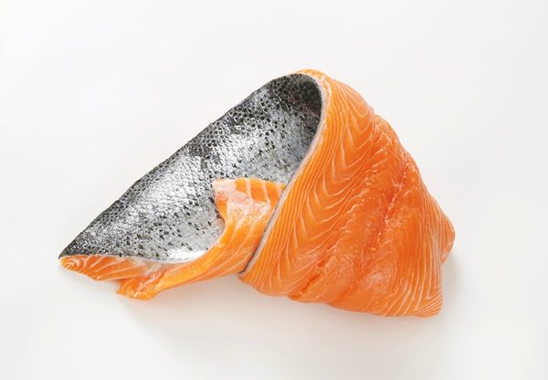 raw salmon fillet with skin intact
