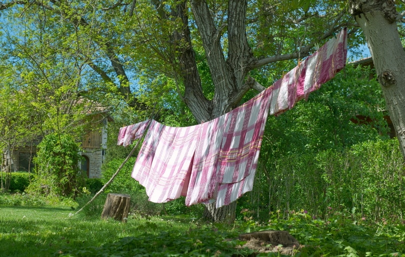 red and white blanket