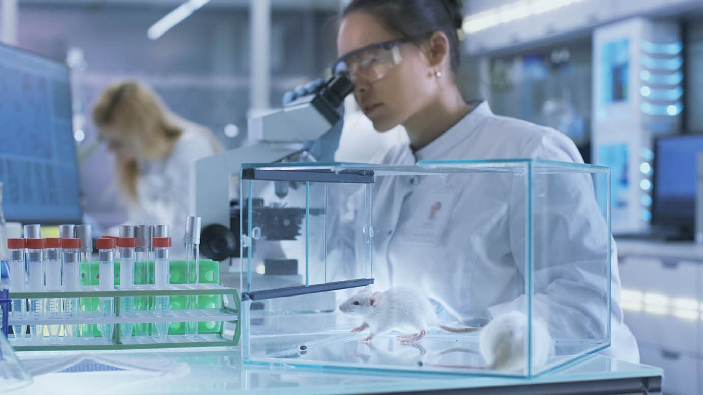 research scientist testing rats in a laboratory