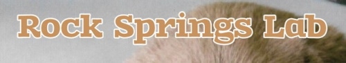 rock springs labs logo
