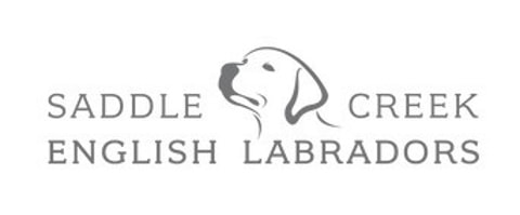 saddle creek logo