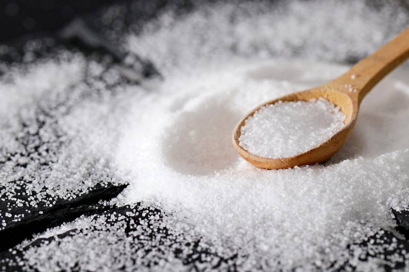Will Salt Kill Fleas? Our Vet Answers – Dogster