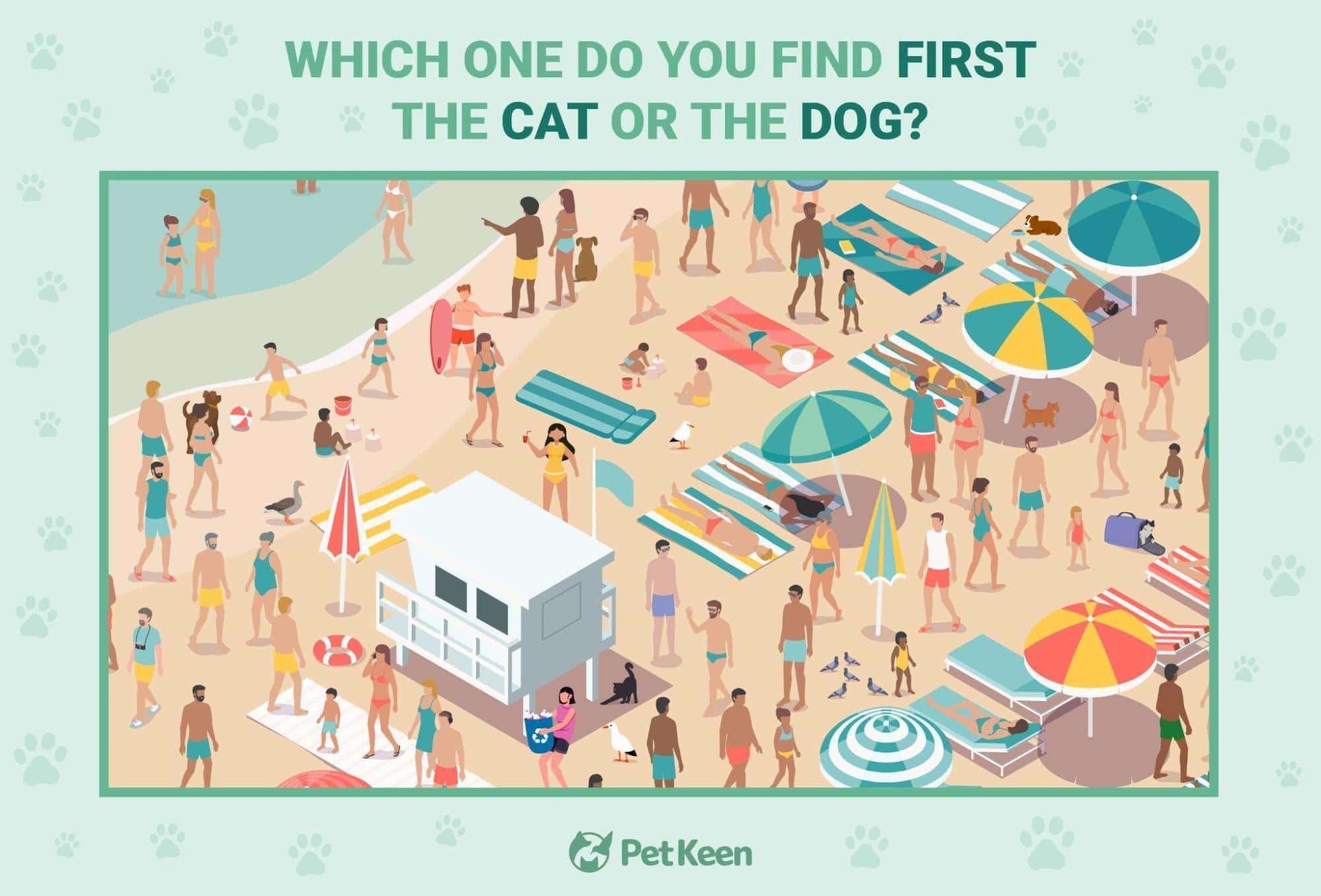 search-and-find puzzle - image 1