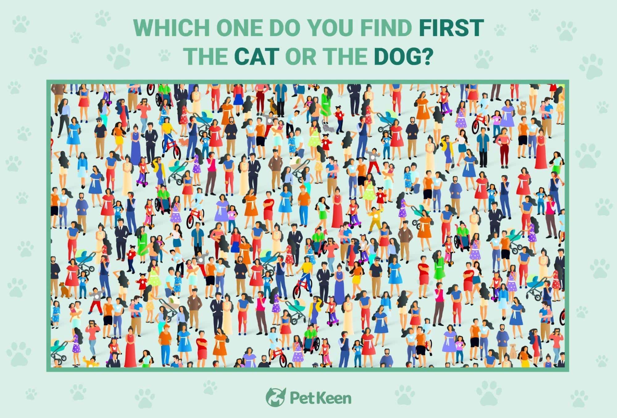 search-and-find puzzle - image 3