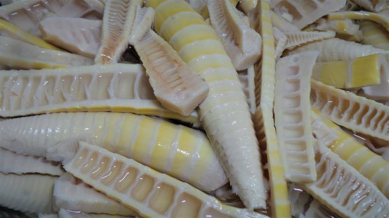 sliced bamboo shoots