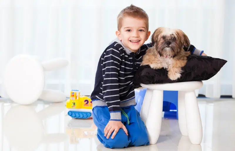 smiling boy beside a havanese dog