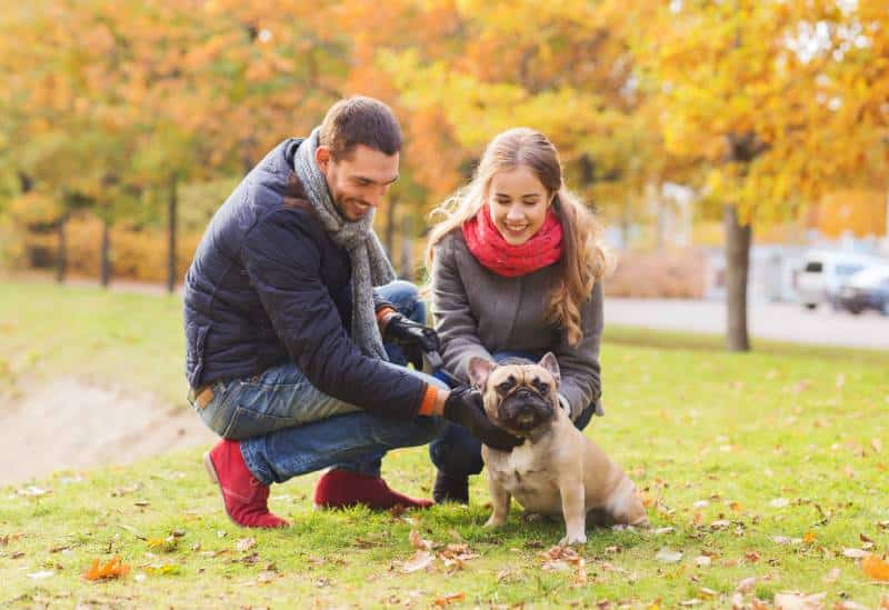 smiling couple with dog in autumn park