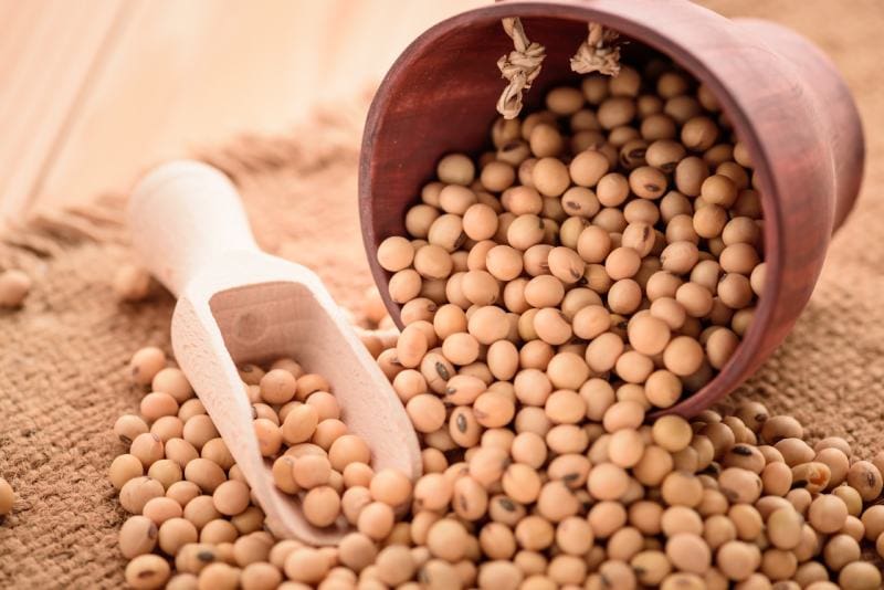 soybeans with wooden spoon