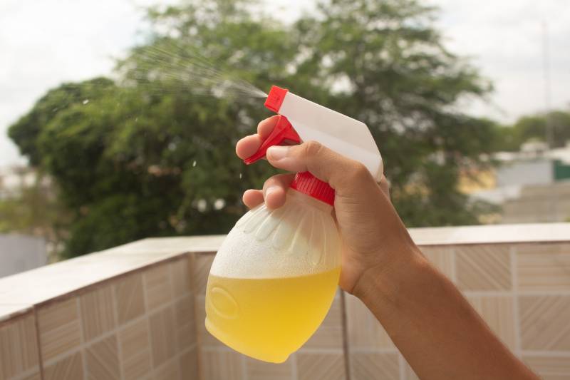 sprinkler with a citrus solution