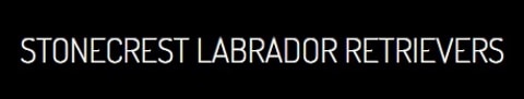 stonecrest labrador logo