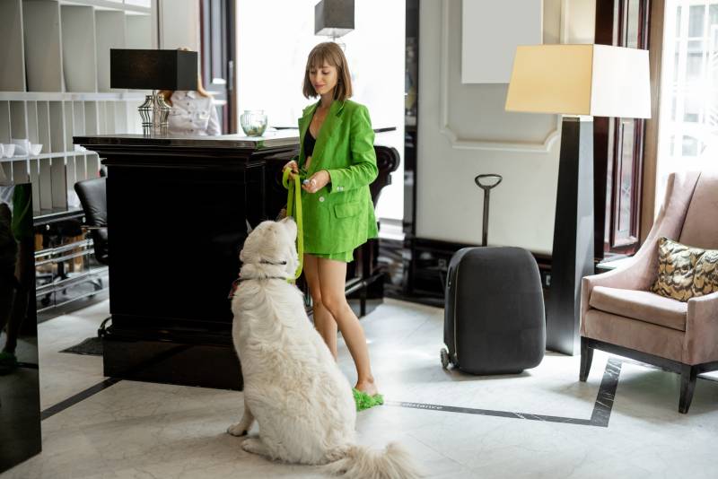stylish businesswoman waits with her dog at reception of luxury hotel