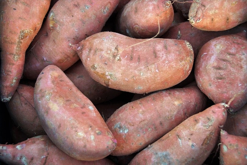 sweet potatoes