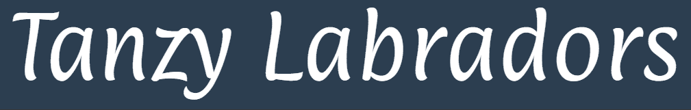 tanzy labs