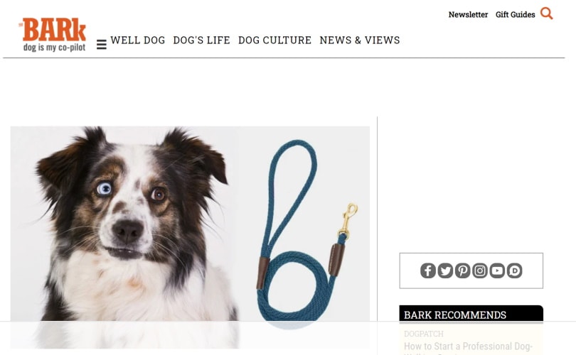 thebark