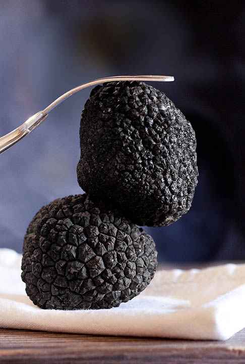 truffle mushrooms