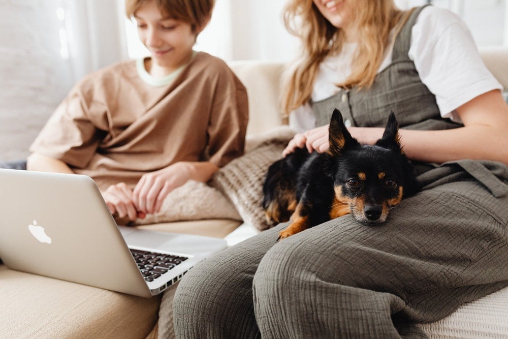 two-person-holding-a-black-dog-and-using-a-laptop_karolina-grabowska_