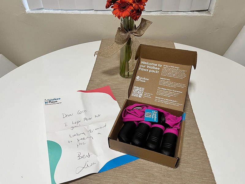 walkee paws’ deluxe easy-on boot leggings in the box