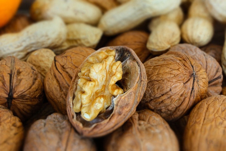 walnuts close up