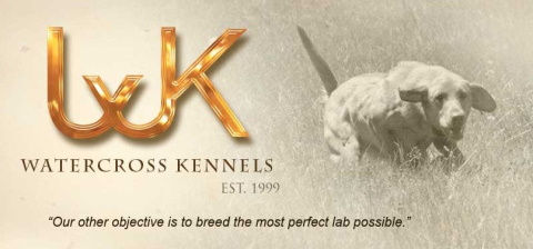 water cross kennels logo