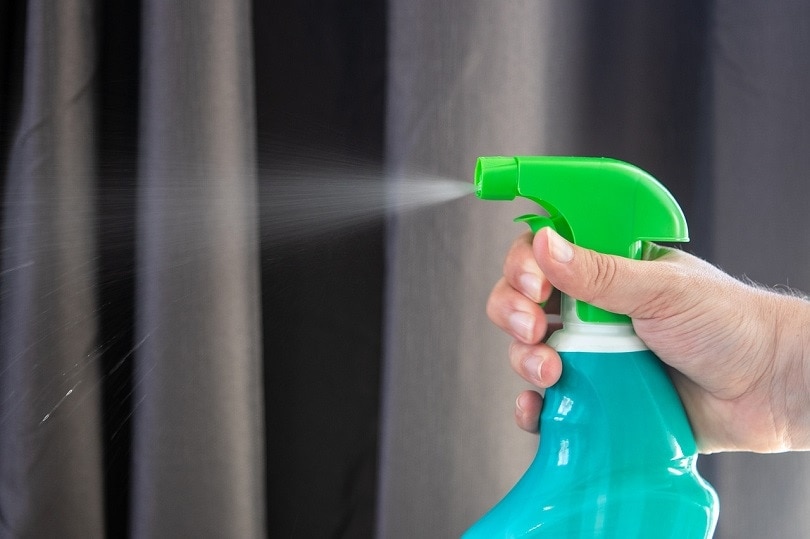 Spray bottle
