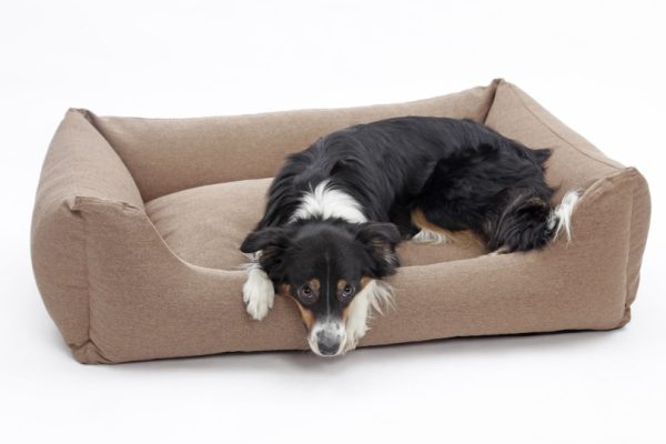 waterproof dog bed_Holger Kirk_Shutterstock