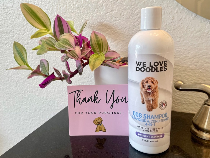 we love doodles dog shampoo bottle and thank you note