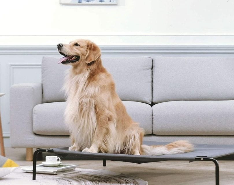western home dog bed