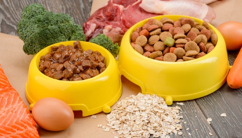 wet and dry food