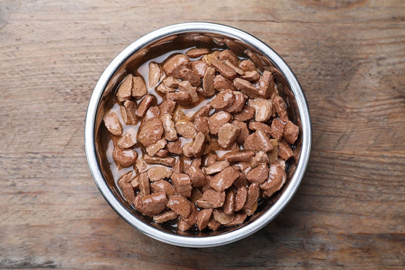 wet dog food in bowl