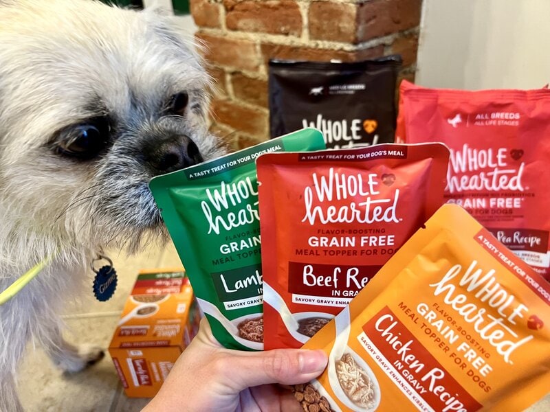 wholehearted line with Gizmo