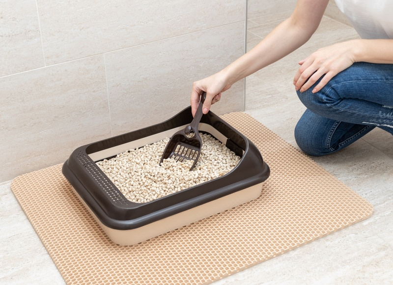 woman-cleaning-litter-box
