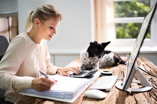 woman computing taxes with her dog