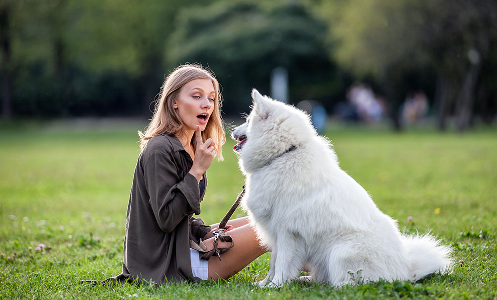 woman do the all gone command to the white dog