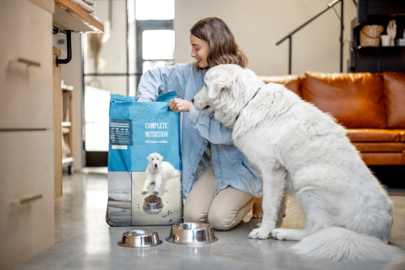 woman feeding dog with dry food