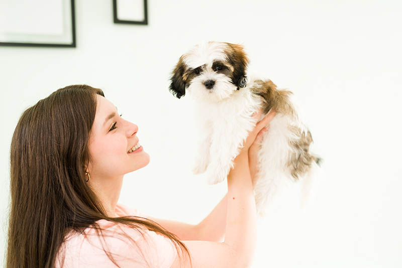 I love my fluffy dog. Beautiful young woman feeling