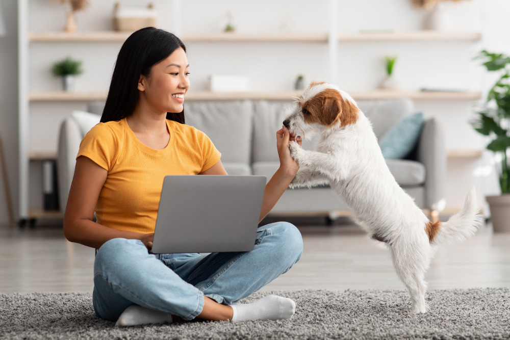 woman giving a treat to her dog while working on her laptop