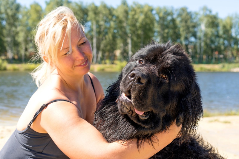 woman holding newfoundland dog