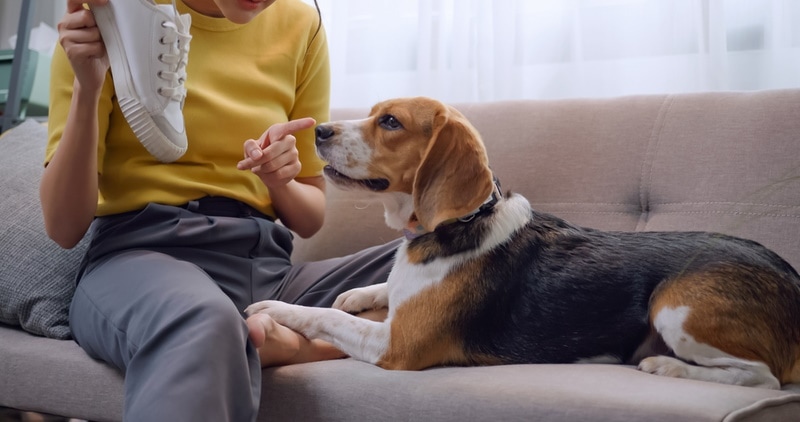 woman holding shoes talking to her dog