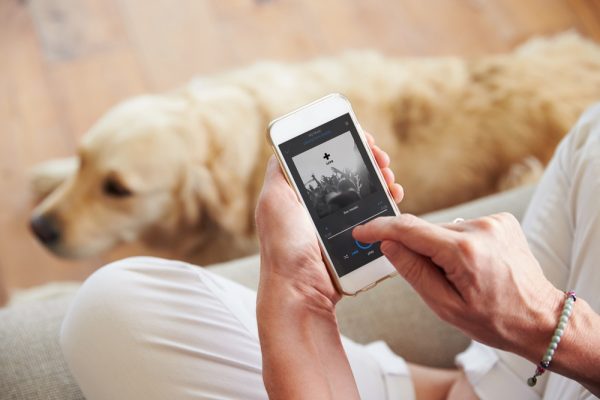 woman playing music with her dog at home